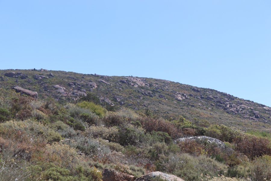 0 Bedroom Property for Sale in St Helena Views Western Cape